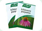 Bestill Echinaforce-fr�