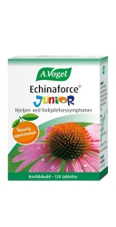 Echinaforce ® Junior 